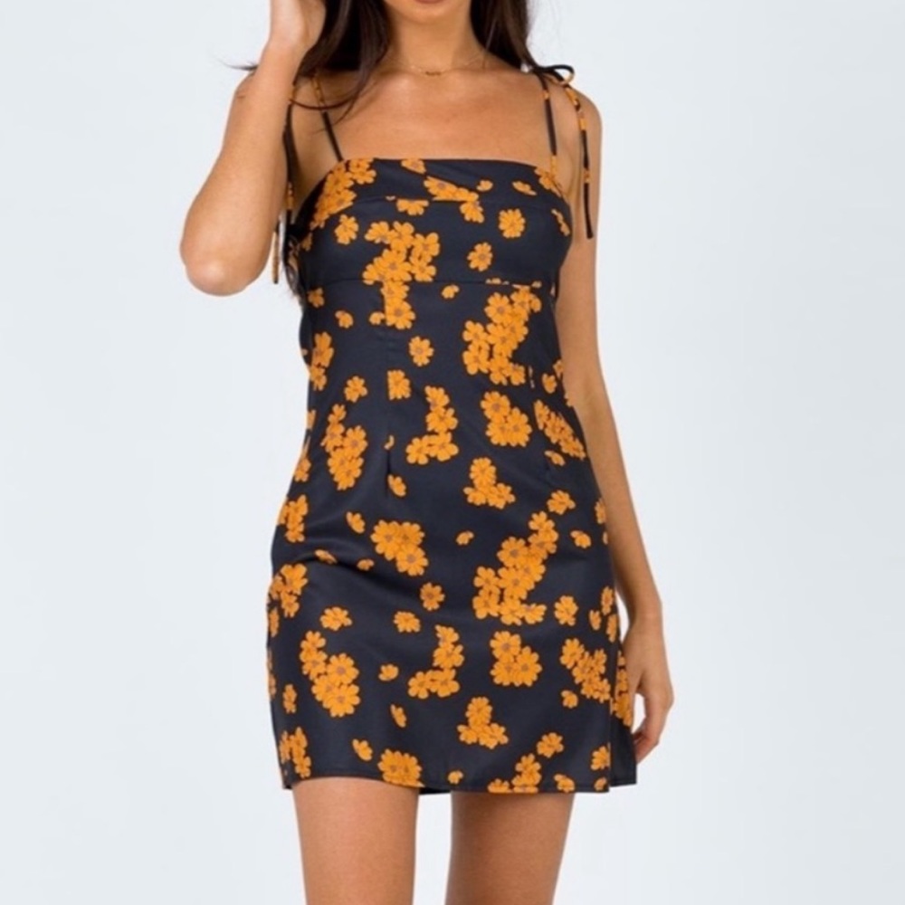 Princess Polly Dress